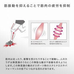 ヨドバシ.com - ザムスト ZAMST カーフスリーブ ふくらはぎ用