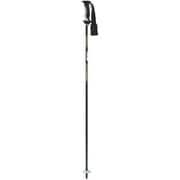 LC-1/BG 30272100 100cm 2本セット [スキー ストック]
