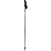 S190901101440 BLACK/GOLD 110 7732 2本セット [スキー ストック 一般]