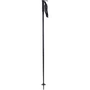A190200401440 BLACK 110 8746 2本セット [スキー ストック 一般]