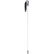 プロシードカーボン KPAI-9100 ホワイト 115cm 2本セット [スキー ストック]