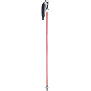プロシードカーボン KPAI-9100 レッド 105cm 2本セット [スキー ストック]
