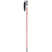 プロシードカーボン KPAI-9100 レッド 110cm 2本セット [スキー ストック]