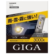 BW5124 [F2800 LEDフォグバルブ3000K PSX26W]