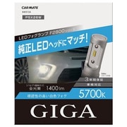 BW5134 [F2800 LEDフォグバルブ5700K PSX26W]