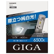 BW5141 [F2800 LEDフォグバルブ6500K HB4]