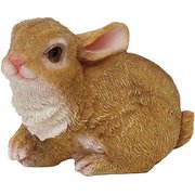 うさぎのエレナ 1003866-01