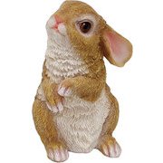 うさぎのマリア 1003866-02