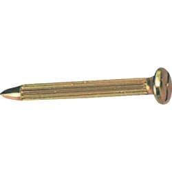 NO1-100 [マイゾックス アースネイル (100本入)]