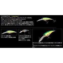 ヨドバシ.com - IMAKATSU ISワスプ 55 シェルラミネート #515 [シャッド] 通販【全品無料配達】