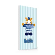 横浜DeNAベイスターズ承認 モバイルバッテリー 4000mAh 6.I☆YOKOHAMA bay2019-cha6-WH