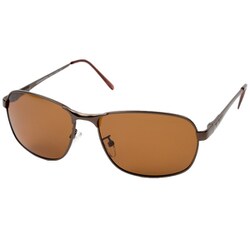 CSP-003-2 [CAPTAIN STAGサングラス]