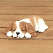 うたたねキャバリア QY-108