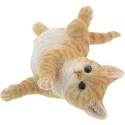 ベニーズキャットゴローン（茶トラ白） QY-118Y