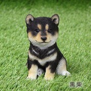 黒柴 こども QY-39BK