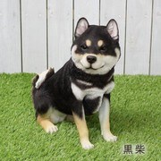 お座り 黒柴 おとな QY-53BK