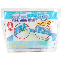 浴室用急硬パテ 320g