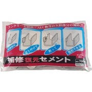 復元セメント 700g