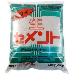 速乾生セメント 4kg グレー