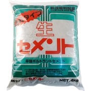 速乾生セメント 4kg グレー