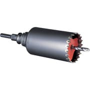 ミヤナガ 振動用Sコア/ポリSDSセットΦ35X170mm PCSW35170R