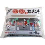 30分セメント 4kg グレ-
