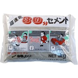 30分セメント 1kg グレ-