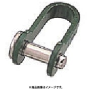 PS-5GR [水本 ステンレス リベット式シャックル(グリーン) 長さ22mm幅9mm 1個]