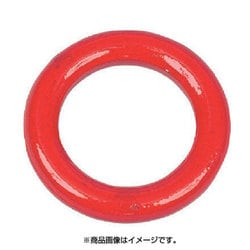 R-19 [HHH 鍛造製リング 2t]