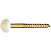 R43-6-6.2X63-PI [SANEI 大便器床取付ビス]
