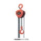 R-CB-0.5 [HHH チェーンブロック 定格荷重0.5t 揚程2.5m]
