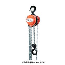 R-CB250 [HHH チェーンブロック 定格荷重0.25t 揚程2.5m]