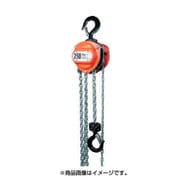 R-CB250 [HHH チェーンブロック 定格荷重0.25t 揚程2.5m]