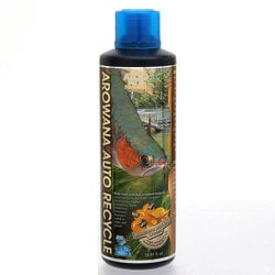 プレミアム アロワナオートリサイクル 500ml