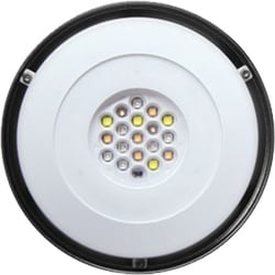 グラッシーソーラー フレッシュ Solar Fresh