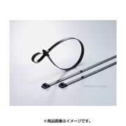 ヘラマンタイトン ラッシングタイ RT250タイプ 幅12.5×長さ230mm RT250S-W