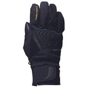 パフォーマンス アルパイン グローブ PERFORMANCE ALPINE SKIGLOVE G30119 ブラック(K) サイズ7 [スキー グローブ]