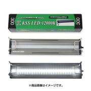 KSS LED 12000K 300