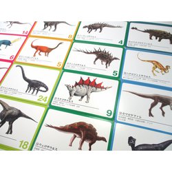 ヨドバシ Com 奥野かるた 恐竜博士dino カードゲーム 通販 全品無料配達