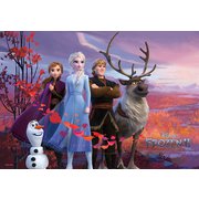 D1000-056 秘密をめぐる物語 アナと雪の女王2 [ジグソーパズル 1000ピース（51×73.5cm）]