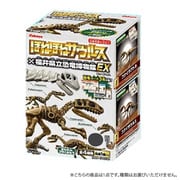 ほねほねザウルス 恐竜博物館EX 1個 [コレクション食玩]