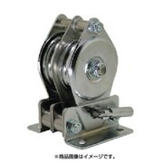 TS50X2 [HHH ステンレス固定滑車たて型二車分離式]