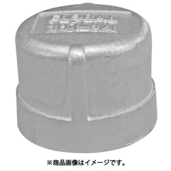 VC-20 [フローバル キャップ(SCS13A) 04100610]