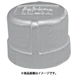 VC-24 [フローバル キャップ(SCS13A) 04100611]