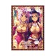 NEXTONガールズスリーブコレクションVol.091 真・恋姫†夢想 雪蓮＆冥琳 [トレーディングカード用品]
