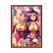 NEXTONガールズスリーブコレクションVol.091 真・恋姫†夢想 雪蓮＆冥琳 [トレーディングカード用品]