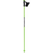 NT CARBON SKICROSS 12. 3 GREEN 125cm 2本セット [スキーストック]