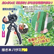 接ぎ木ハサミ PRO 化粧箱