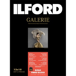 GALERIE Gold Fibre Gloss（ゴールドファイバーグロス） 2L 50枚 422104