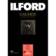 GALERIE Gold Fibre Gloss（ゴールドファイバーグロス） A3 25枚 422372